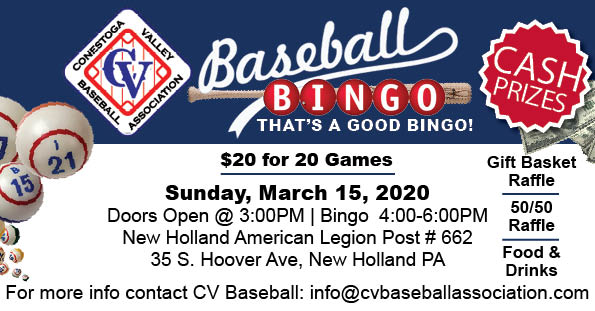 2019 Baseball Bingo